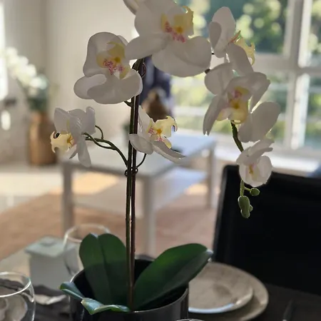 3 Bed Cozy - Next To Leeds Centre &