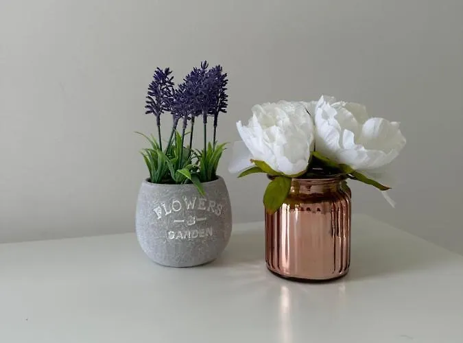 3 Bed Cozy - Next To Leeds Centre & 公寓