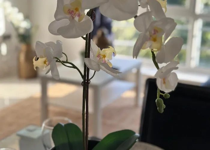 3 Bed Cozy - Next To Leeds Centre &